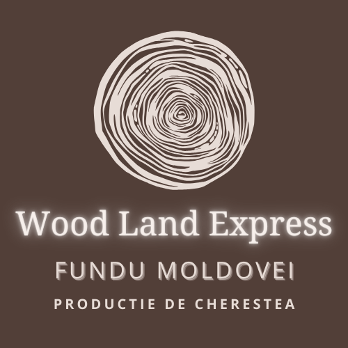 Wood Land Express – Fundu Moldovei
